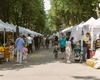 Trei zile de arome, tradiție și savoare în inima Moldovei! Ce surprize îi așteaptă pe pofticioși la final de săptămână
