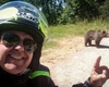 Detaliu șocant găsit în telefonul turistului italian ucis de urs pe Transfăgărășan. Reacții din partea autorităților și specialiștilor – VIDEO