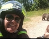 Cutremurător! Ce au găsit anchetatorii în telefonul italianului sfâșiat de urs pe Transfăgărășan!