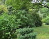 Grădina Botanică din Iași pregătește ceva cu totul special, unic în România! Un nou colț verde, dedicat plantelor rare, urmează să prindă viață