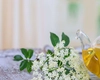 A slăbit cineva cu ceai de soc? Iată care este adevărul și cum funcționează