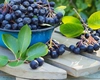 Aronia sau porumbele? Iată ce opțiune este mai bună pentru sănătatea ta și ce contraindicații există