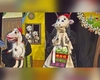 Ion Creangă, vedeta verii la Teatrul Luceafărul din Iași