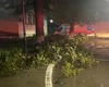 Un copac a căzut pe o ambulanță în curtea Spitalului Clinic „Dr. C.I. Parhon” din Iași