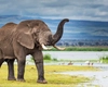 Viața unei femei de 49 de ani s-a schimbat complet după o excursie în Thailanda! „O întâlnire neașteptată mi-a oferit a doua șansă”