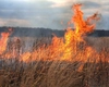 Un nou incendiu de vegetație uscată, la Iași. Pompierii au intervenit în satul Pârcovaci