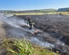 Incendiu de vegetație în satul Cârjoaia! Sancțiuni aspre pentru cei care ignoră legea