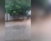 Curte inundată în Valea Adâncă! Intervenție în desfășurare a pompierilor ieșeni – VIDEO