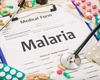 Caz de malarie confirmat în România. În ce stare se află pacientul