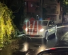 Un alt copac a căzut în municipiul Iași! Poaia face ravagii