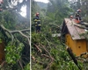 Castelul Peleș, lovit de furie naturii! Furtuna a făcut ravagii în Sinaia, monumente istorice grav avariate