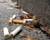 Poluarea solului, un pericol ignorat! Cantități uriașe de deșeuri la fiecare pas