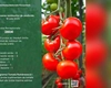 Raport actualizat privind pesticidele din fructe, legume și cereale. Iată rezultatele