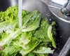 Ce beneficii are salata verde și cum poate fi preparată? Iată ce trebuie să știi!