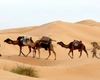 Plănuiești o călătorie în Tunisia? Iată câteva sfaturi pentru o experiență sigură, cu adevărat spectaculoasă