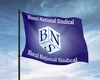 Blocul Naţional Sindical (BNS) a decis calendarul protestelor faţă de măsurile de austeritate