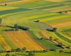 AGRO-STAR avertizează că reducerile salariale din agricultură pun în pericol securitatea alimentară a României