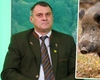 Un fenomen a apărut la Iași, în rândul animalelor sălbatice. „Se vor reface efectivele de animale cu noile generații imunizate”