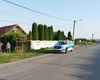 Un animal sălbatic a fost surprins în Suceava. Jandarmeria face apel la populație