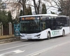 Nu vor mai fi deschise trasee metropolitane noi anul acesta! CTP Iași nu are suficiente autobuze la dispoziție