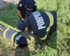 Salvare dramatică în Iași! Pompierii au scos un câine dintr-un canal adânc de 4 metri