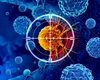 Descoperirea care poate rescrie medicina! Vaccinul universal împotriva cancerului a eliminat complet tumori rezistente!