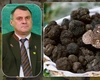Direcția Silvică Iași a vândut 5 tone de trufe, cu 905.000 de lei. Ciupercile de lux au ajuns în restaurantele din Italia