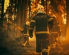 Dezastru total! Temperaturile extreme aprind flăcări uriașe în nord-vestul Spaniei
