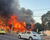 Patru pompieri de la ISU Iași, aflați în timpul liber, au intervenit pentru stingerea incendiului din Mamaia