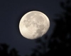 Luna plină din august 2025 poate afecta cuplurile! Astrologii avertizează asupra tensiunilor care ar putea apărea în relații