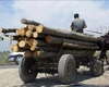 Prețurile pentru lemnele de foc, practicate de Direcția Silvică Iași, nu au crescut. TVA-ul este mai mare de la 1 august 2025