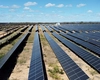 Orașul Podu Iloaiei va deveni independent energetic! Investiția în parcul fotovoltaic depășește 3,5 milioane de lei