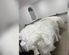 Contrabandă de lux la frontiera cu Ucraina! Rochii de mireasă și ambalaje falsificate, confiscate la Racovăț