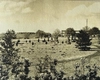 Dezvăluiri uimitoare despre Grădina Botanică din Iași! Cum arăta locul în anii ’60 și ce plante au supraviețuit până acum