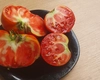 Fermierii români, în panică! Roșiile verzi pe interior pun în pericol recoltele