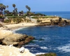O studentă a găsit pe o plajă o specie rară de scoici. Iată escoperirea uimitoare din California