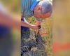 Silviu Gurlui, deputatul AUR de Iași: „Moldova între potop și uscăciune. Agricultura se stinge – iar Guvernul stă pe margine”