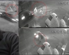 Controverse: Adolescenta din Bohotin a fost spulberată de un șofer de 19 ani, alergic la fraieri. Autointitulatul „Migdale” abia își recăpătase permisul luat de polițiști pentru viteză