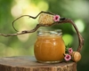 Care este adevărul despre mierea de manuka? Iată cum o poți recunoaște pe cea originală!