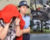 Doctorița Ana Guț, implicată în scandalul șpăgilor de la Casa de Pensii Bihor, a murit într-un cumplit accident rutier