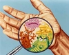 Cum au fost descoperiți microbii? Iată tot ce trebuie să știi despre microorganisme
