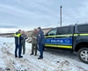 Proprietarii de animale din comuna Rediu, verificați de polițiștii ieșeni
