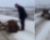 Un cal a fost lovit brutal de stăpân după ce a căzut la pământ și nu mai avea putere să se ridice. Imaginile cumplite au fost surprinse într-un sat din Iași
