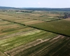 Cel mai scump teren agricol care a fost scos la vânzare în 2025 în Iași are o suprafață de 0,05350 hectare, iar prețul cerut a fost de 434.620,00 lei