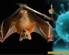 Un virus mortal se răspândește în India, după ce ar fi fost transmis de la lilieci. Ce simptome are la om
