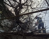 Misiune în dinamică! Un copac s-a prăbușit peste o țeavă de gaz în municipiul Iași