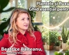 Plantele și fluxul energiei! Beatrice Bălteanu, maestru Feng Shui, oferă un ghid esențial pentru casă și curte la BZI LIVE