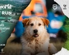 Rocanotherworld dă startul unei alergări caritabile: Community Run, un apel la mișcare și solidaritate