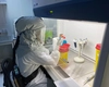 Focar de pestă porcină africană la granița României. Măsuri de urgență instituite de autorități în mai multe localități