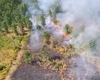 Peste 280 de hectare, mistuite de incendii în Timiș. Pompierii au luptat mai bine de 12 ore cu flăcările care s-au apropiat de gospodării